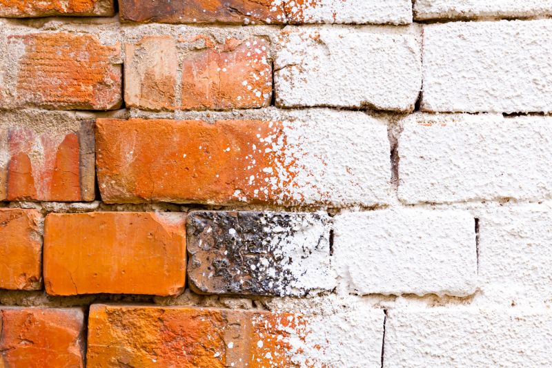 Brick Lime Coating